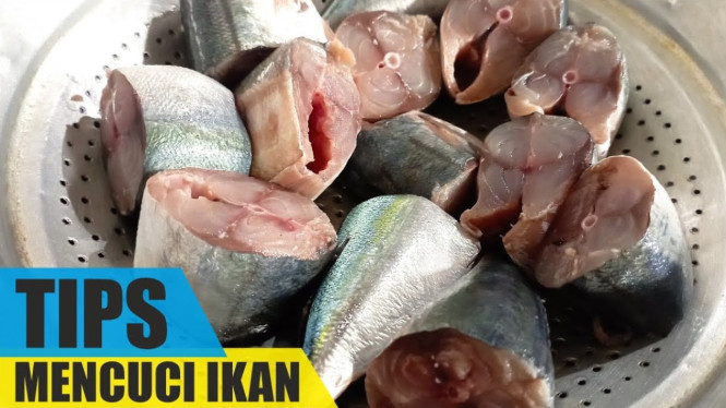 Ikan