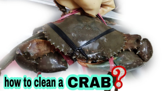 Kepiting