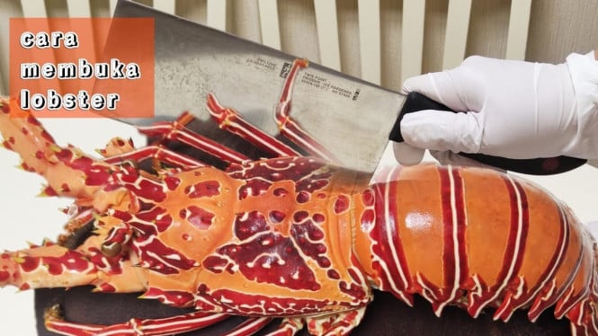 Membuka lobster