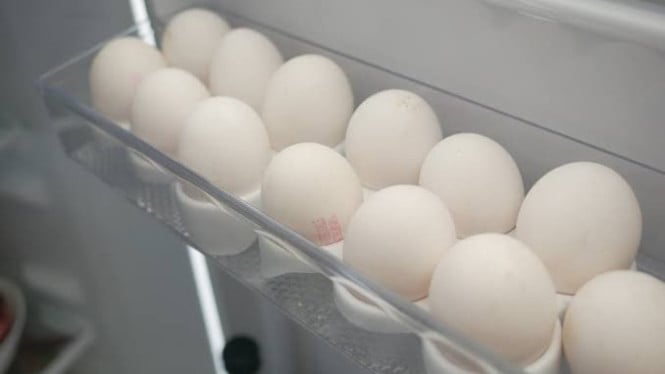 Telur