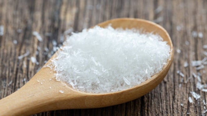 Penyedap Rasa atau MSG (foto ilustrasi).