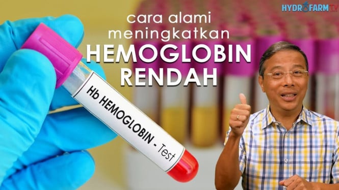 Rahasia Ajaib Menaikkan Hemoglobin Rendah dengan 12 Makanan Super yang ...