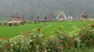 Wow, Ada Deretan Istana Bambu di Lembah Merangan Kendal
