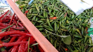 Pasokan Cabai di Semarang Masih Aman Meski Harga Tembus Rp 75 Ribu per Kg