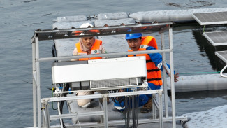 Gandeng Mahasiswa, Srikandi PLN Dorong Percepatan Transisi Energi dan Inovasi Digitalisasi Layanan