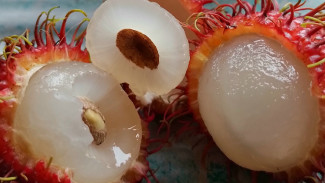 Berburu Rambutan Asli Semarang yang Manis Tebal dan Nglothok, Ini Lokasinya