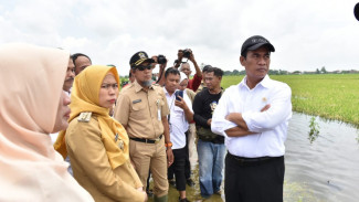 Pemerintah Bantu Rp30 Miliar Untuk Petani Korban Banjir di Demak, Kudus, dan Grobogan