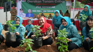 Libatkan PKK, Mbak Ita Komitmen Jaga Ketahanan Pangan di Kota Semarang