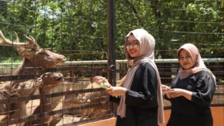 Ada yang Baru di Kebun Binatang Semarang Zoo, Wisatawan pun Ramai di Libur Lebaran