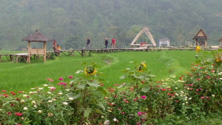 4 Pilihan Wisata Alam Eksotis di Semarang dengan Tiket Murah