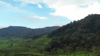Prakiraan Cuaca Bogor Minggu 28 April 2024, Cek Dulu Infonya Sebelum Berlibur ke Puncak