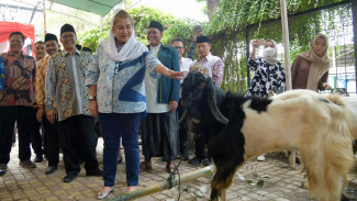 Wali Kota Semarang Serahkan Hewan Kurban untuk Dibagikan ke Daerah Pinggiran