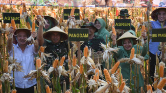 Pangdam IV/Diponegoro berkomitmen penuh dukung Program Ketahanan Pangan Nasional