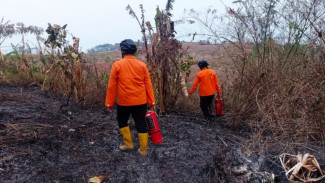 BNPB Minta Waspada Kebakaran Hutan di Puncak Musim Kemarau Sekarang Ini