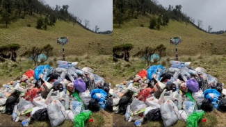 Andai Saja Tiap Pengunjung Bawa Pulang Sampah, Tak Akan Ada 934 Kilogram Sampah di Gunung Prau
