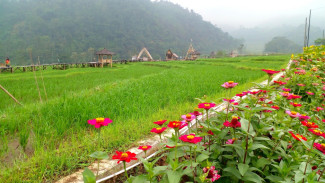 Wisata Kendal: Rekomendasi Lokasi dengan Pemandangan Alam Eksotis dan Indah