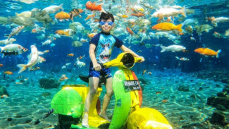 Pilihan Wisata Air Alami Terdekat dari Solo, Beningnya Bukan Main, Bisa Untuk Snorkeling