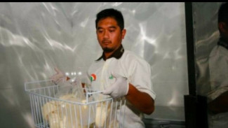 Keju Boyolali, Tumbuhkan Geliat Produk Turunan Susu Sapi