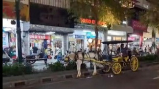 Photo Mini 4