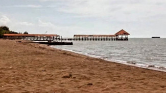 Pantai Purwahamba Tegal: Harmoni Birunya Laut Jawa dan Kelembutan Pasir untuk Liburan Keluarga Impian