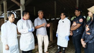 Warga Tolak Vaksinasi Jadi Penyebab Maraknya Sapi Terkena Penyakit Mulut dan Kuku di Jateng