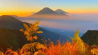 Mendaki Gunung Sindoro via Kledung: Sensasi Kehangatan Penduduk dan Keindahan Eksotis