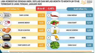 Diskon Tarif Listrik Membuat Jateng Alami Deflasi di Januari 2025