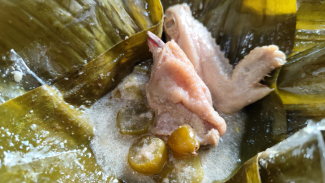Garangasem ayam kampung khas Purwodadi. Garangasem ayam kampung khas Purwodadi.