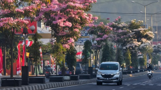 Wisata Murah Meriah ke Magelang Naik Kereta Api, Ini Stasiun Terdekat dan Terhemat