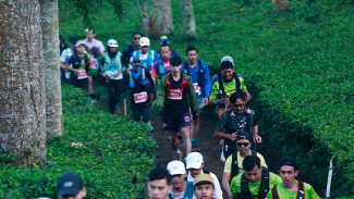 Jalur Trail Run Tambi Wonosobo: Pilihan Mempesona untuk Petualang Jarak Pendek