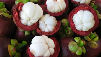 Manggis Si Buah Ajaib, Ini Deretan Manfaatnya bagi Kesehatan Manusia