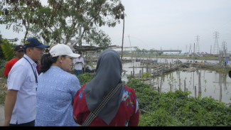 Agustina, Wali Kota Semarang Siapkan Ekowisata Mangrove di Tambakrejo