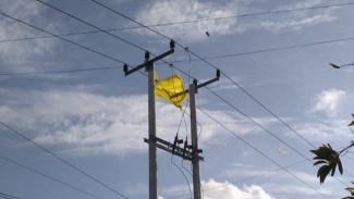 Gangguan Listrik Akibat Layang-Layang Naik 47 Persen Dalam 3 Bulan, Ini Imbauan PLN Jateng-DIY