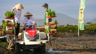 Ratusan Hektare Sawah di Demak Kembali Produktif Setelah Sungai Dinormalisasi