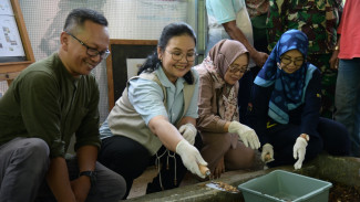 Lewat Inovasi Program Gumregah, Wali kota Semarang Agustina Wilujeng Serius Atasi Sampah Organik