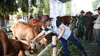 Jateng Targetkan Satu Juta Vaksinasi PMK atau Penyakit Mulut dan Kuku  Tahun Ini