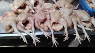 Daging dan Telur Ayam Dorong Inflasi Jawa Tengah di Bulan September 2025