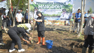 Dukung Mageri Segoro, Wali kota Semarang, Agustina Wilujeng Gerakkan Tanam Cemara Laut di Pesisir Semarang