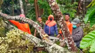 Angin Kencang Luluh Lantakkan Salatiga: Puluhan Rumah Rusak Berat dalam Lima Menit