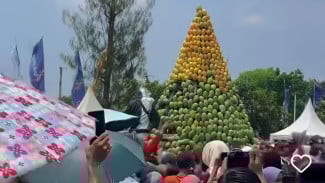 Bikin Tergiur! Festival Mangga di Pemalang Hadirkan Beragam Jenis Mangga Istimewa