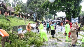 Warga Panik Saat Hujan Deras Disertai Angin Kencang Tumbangkan Pohon Dan Terbangkan Atap Rumah