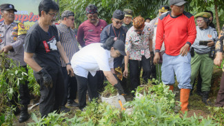 Panen Ubi Jalar dan Singkong, Wali kota Agustina Perkuat Ketahanan Pangan Lokal