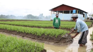 Pemprov Jateng Bangun 10 Embung Tahun Ini Untuk Pasok Air ke Lahan Pertanian
