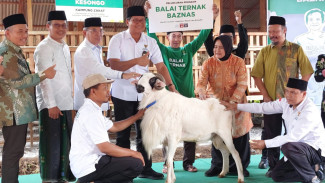 Baznas Bangun Balai Ternak dan Berdayakan 30 Peternak di Kesongo