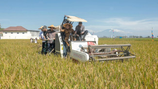 Jateng Surplus Beras 2025, Tapi Belum Jadi Jadi Nomor Satu di Indonesia