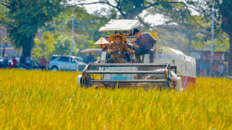 Stok Pangan di Jawa Tengah Aman Sampai Juni 2026