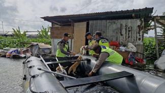 Kisah Menyentuh Saat Polisi Selamatkan 7 Kucing yang Terjebak Banjir di Kudus