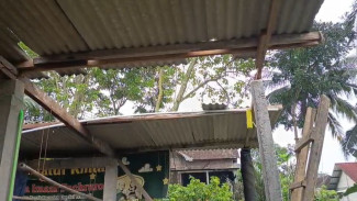 Cuaca Buruk Rumah Warga Hancur Tertimpa Pohon