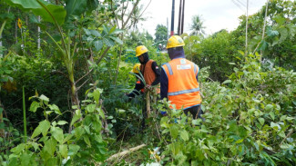 PLN Jateng dan DIY Tingkatkan Kesiagaan Sistem Kelistrikan Hadapi Cuaca Ekstrem di Yogyakarta