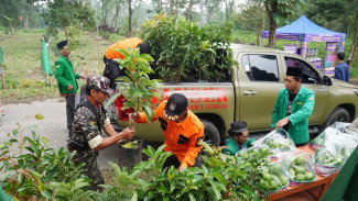 GP Ansor Bersama PLN dan Pemkab Boyolali Hijaukan Lereng Merapi dengan Bibit Alpukat